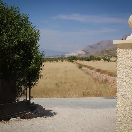 Bed & Breakfast Casa De La Pina Hondon de los Frailes