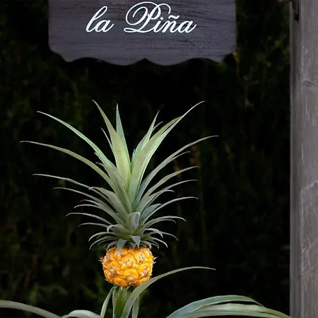 Bed & Breakfast Casa De La Pina Hondon de los Frailes